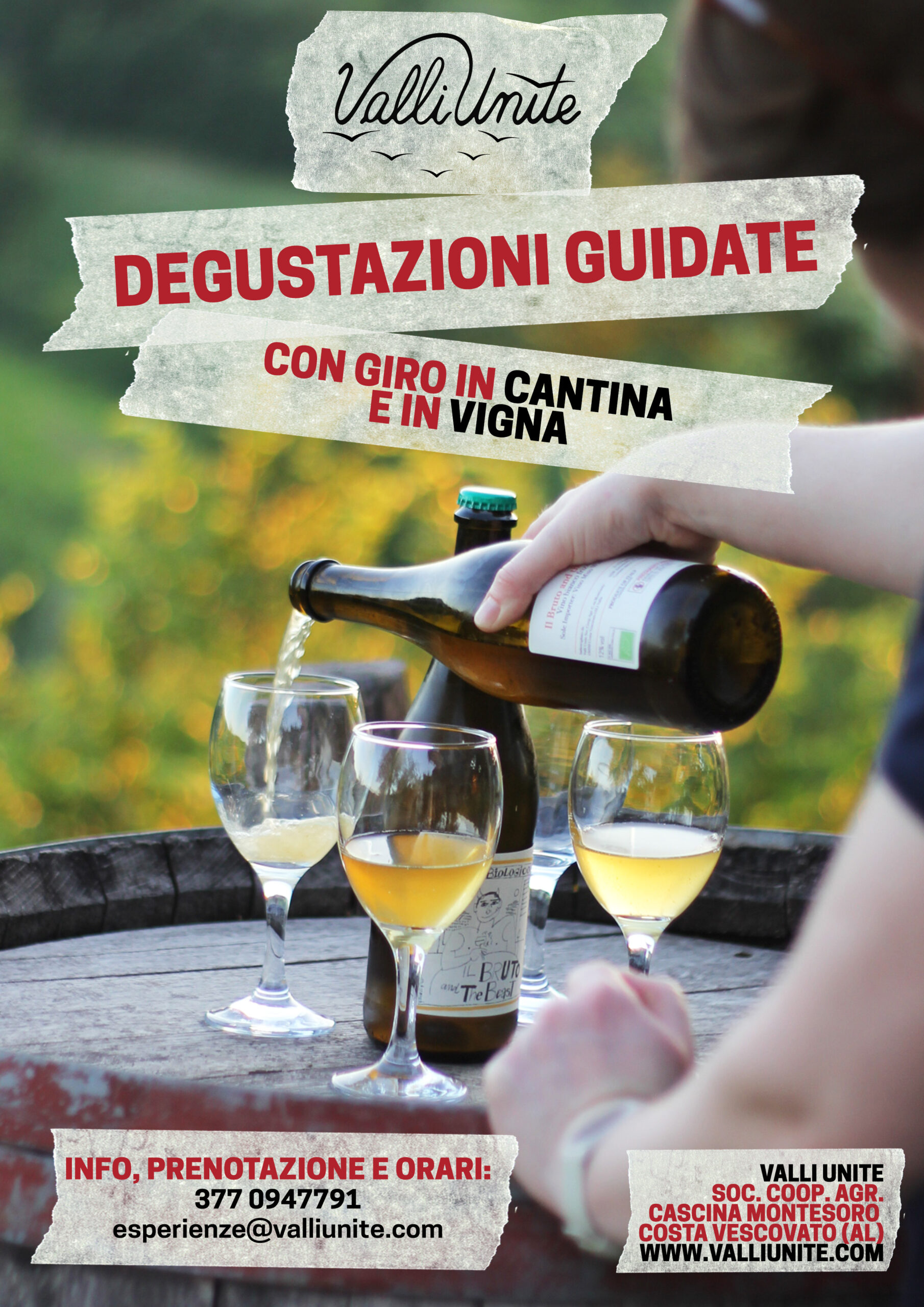 DEGUSTAZIONI GUIDATE